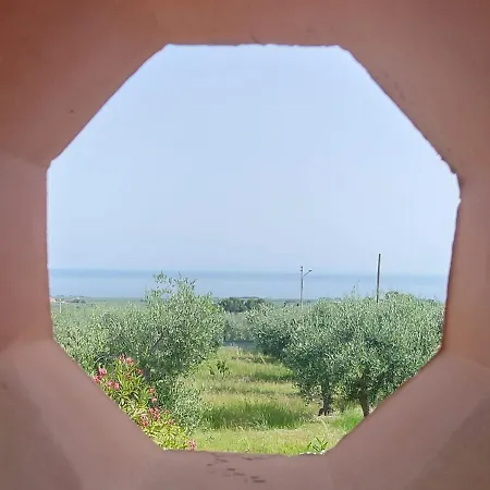 Olivo Macchia *