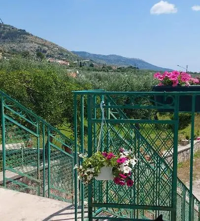 Apartment Olivo Macchia