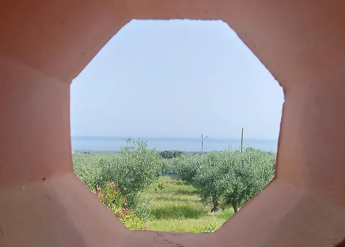 Olivo Macchia *